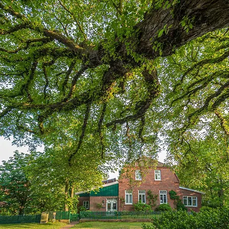 Karkstuuv * Spiekeroog